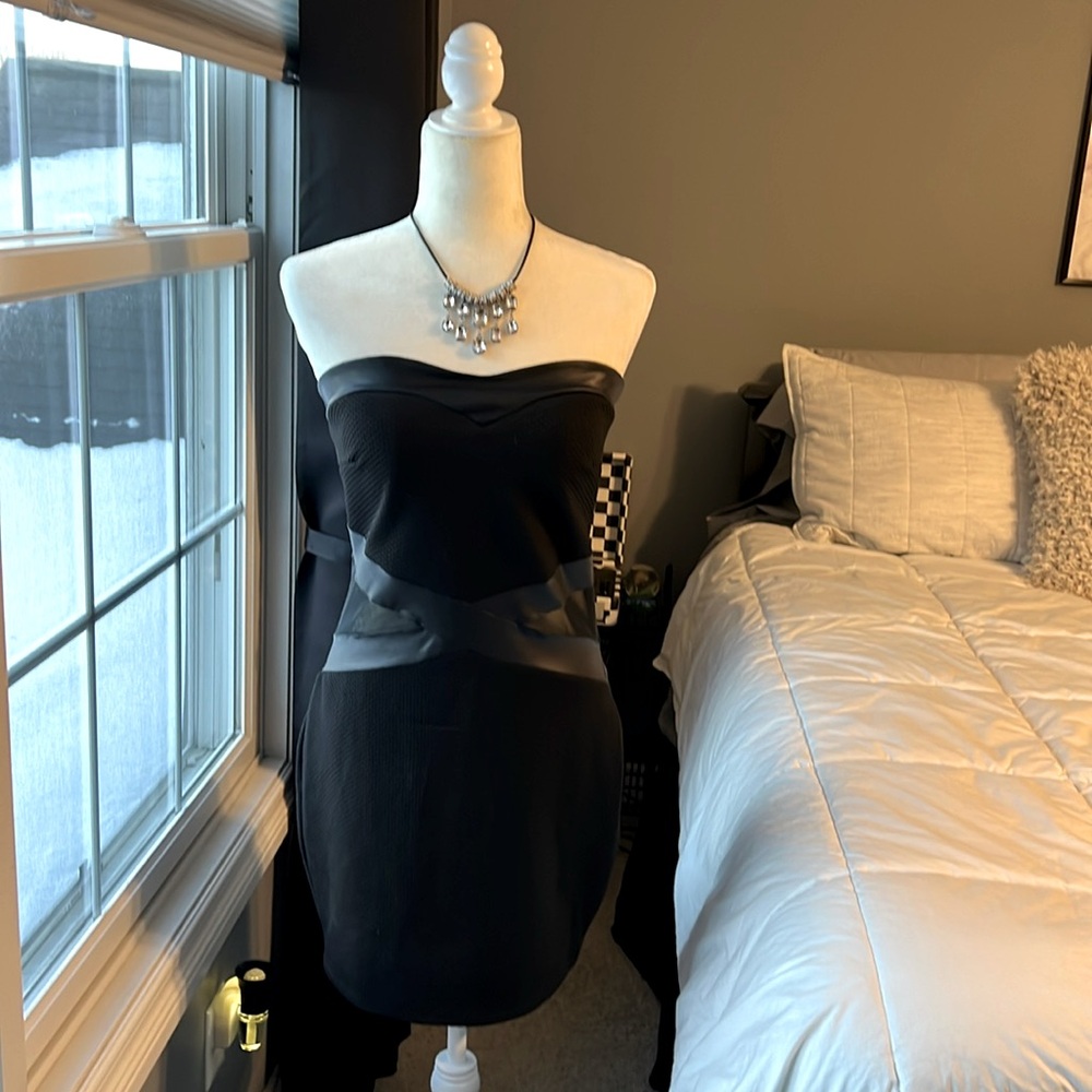 Windsor Strapless Satin/Mesh Mini Dress